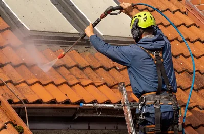 Démoussage et hydrofuge de toiture à Cigogné